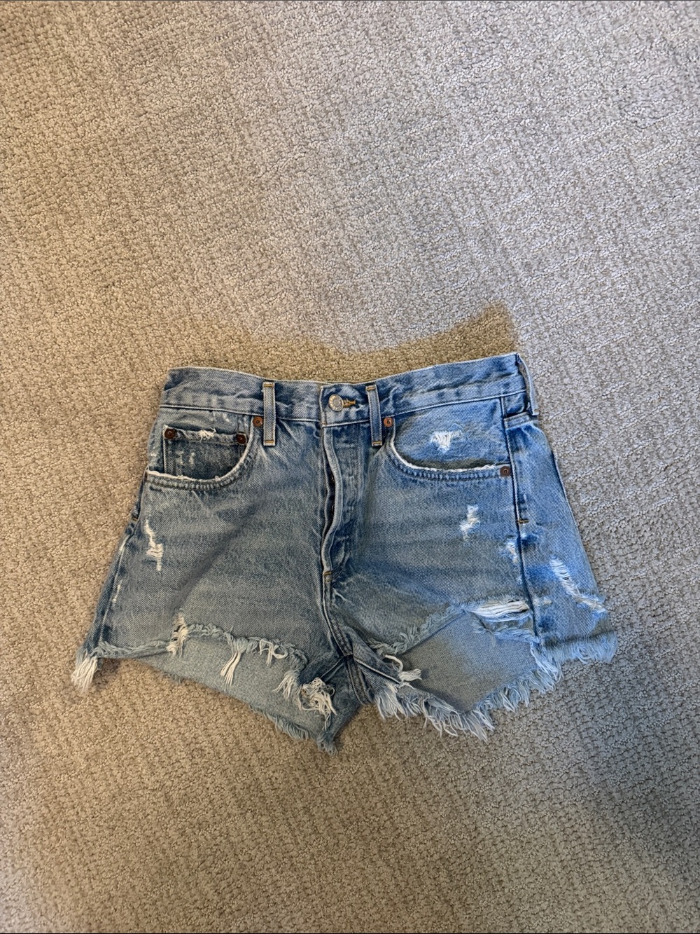 AGOLDE Parker Vintage Cut Off Short in Swapmeet